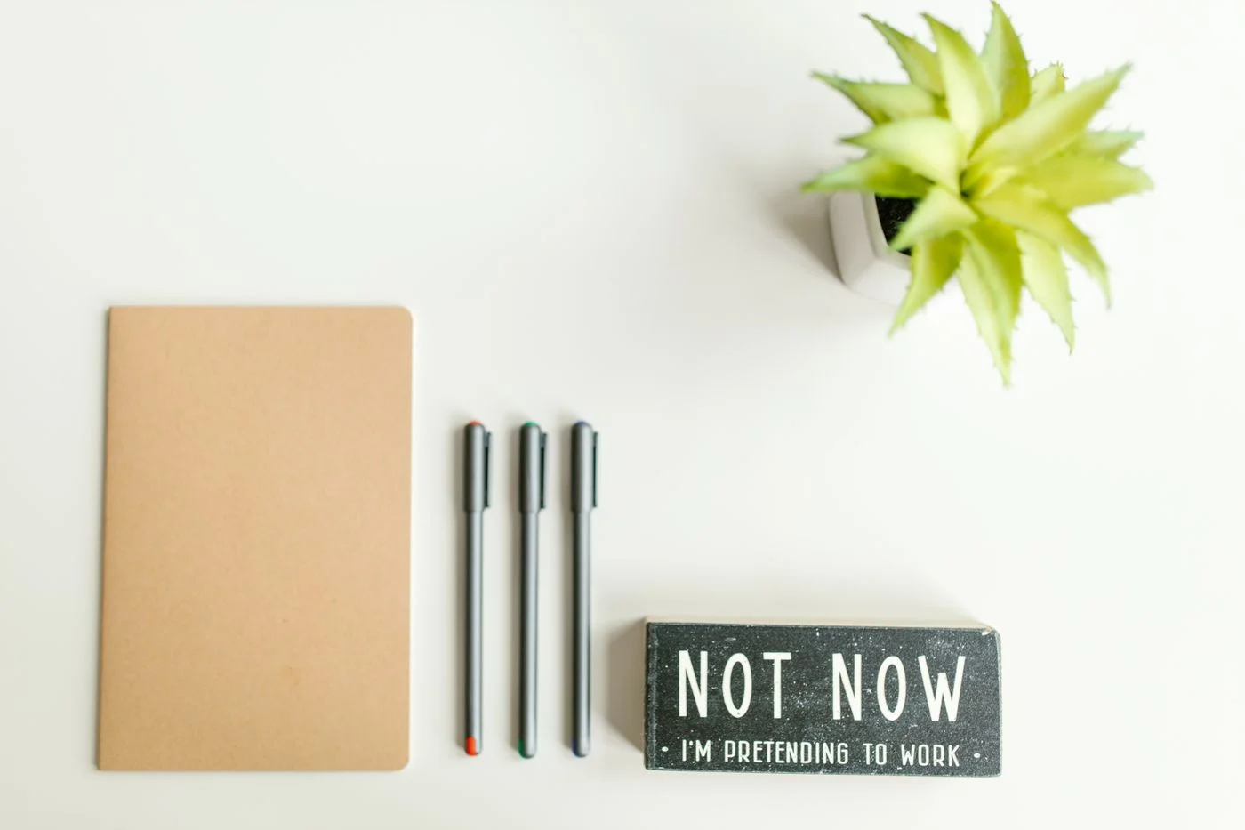A notebook, three pens, a succulent, and a sign reading Not Now: I’m Pretending to Work.