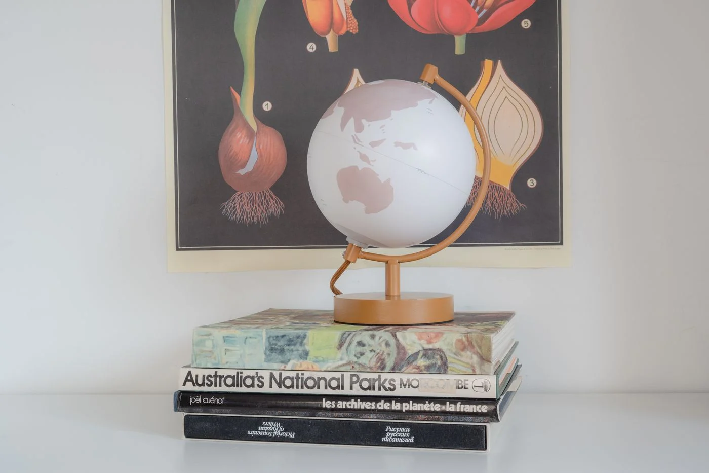 A small globe resting on a stack of books beneath a botanical print.